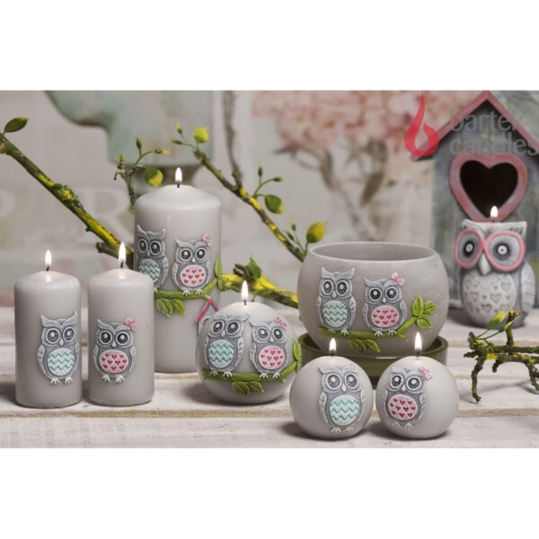 Funny Owls Candles