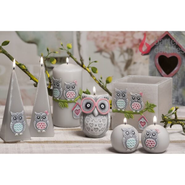 Funny Owls Candles
